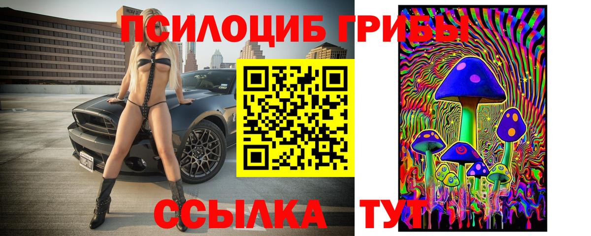 Псилоцибиновые грибы мицелий Волоколамск