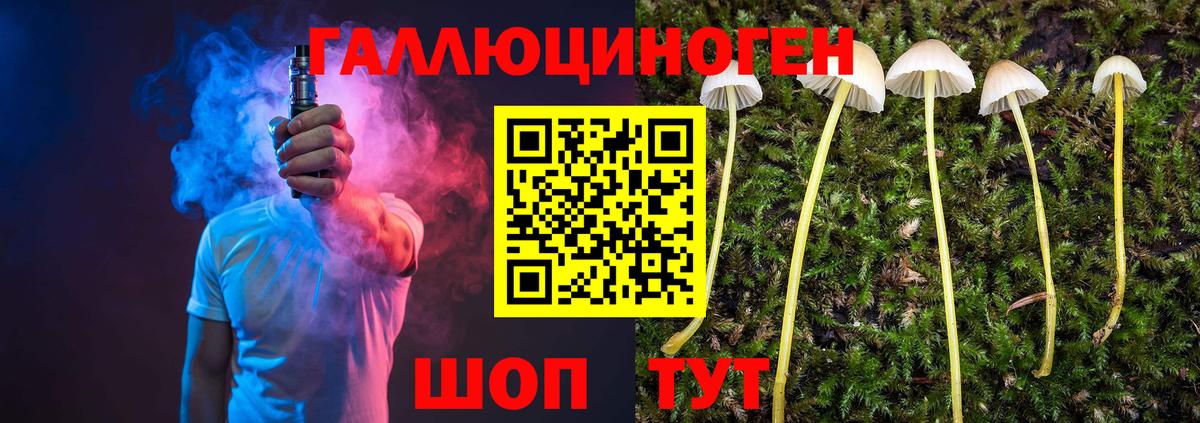 Галлюциногенные грибы Magic Shrooms  Вход с VPN  Волоколамск  Псилоцибиновые грибы мухоморы 
